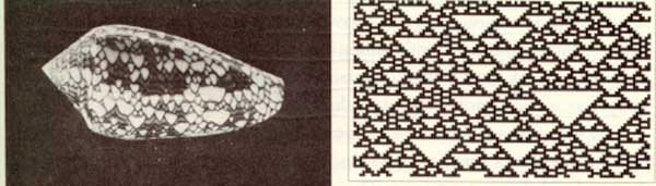 Cellular Automata with Modified Game-of-Life Rules - Wolfram